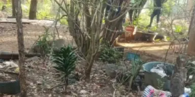 Imagen de Trasciende nueva masacre en Yoro: madre, hija y nieta entre las víctimas