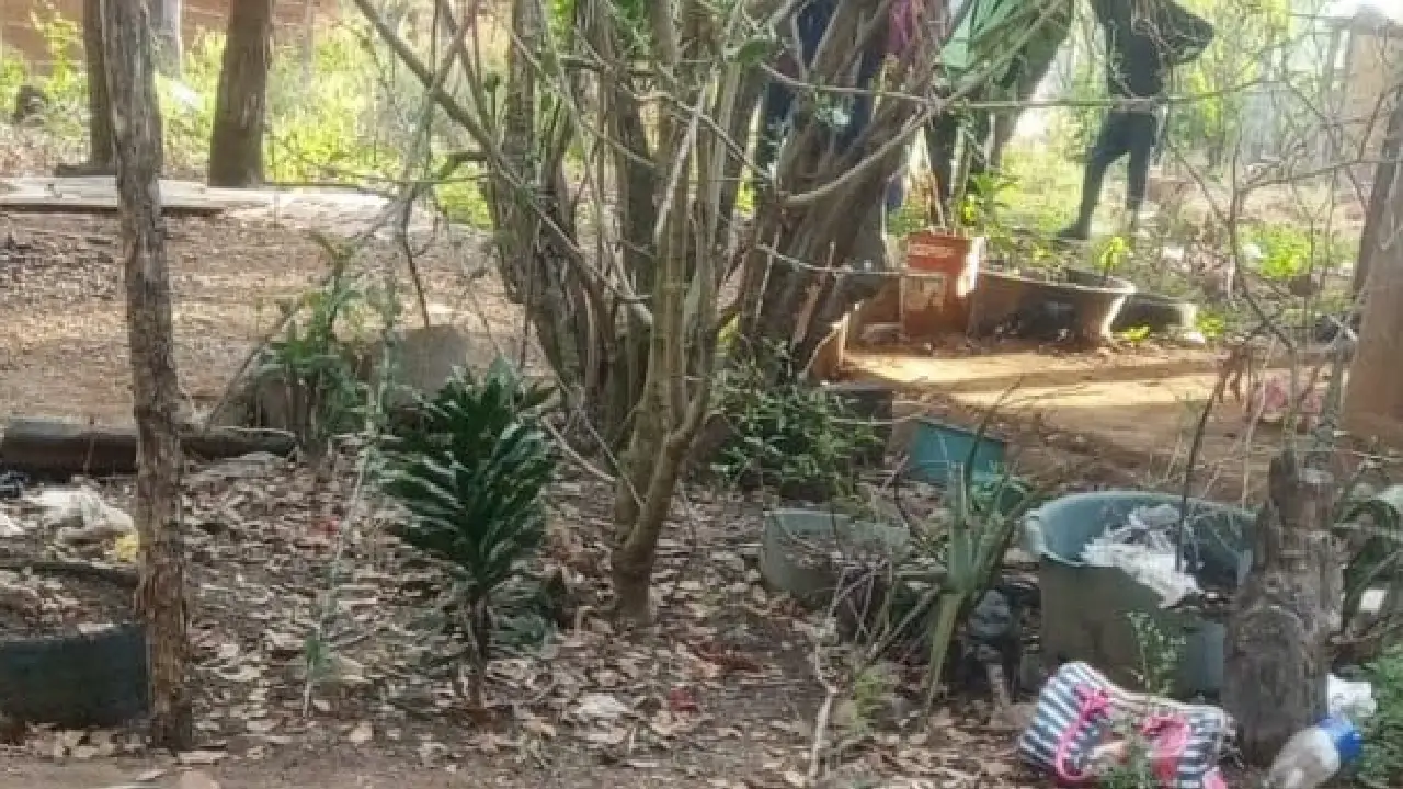 Nueva masacre en Yoro: dos mujeres y un hombre son las víctimas Imagen de Nueva masacre en Yoro: dos mujeres y un hombre son las víctimas