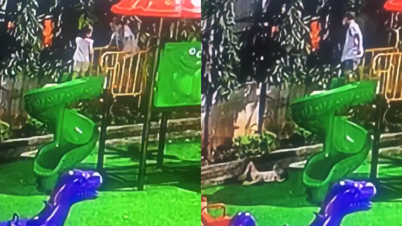 VIDEO SENSIBLE: Menor empuja a niña mientras jugaban en tobogán Imagen de VIDEO SENSIBLE: Menor empuja a niña mientras jugaban en tobogán