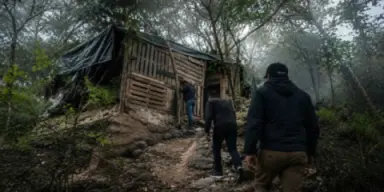 Imagen de La Escuelita del crimen: cuando la MS-13 entrenaba sicarios en Honduras