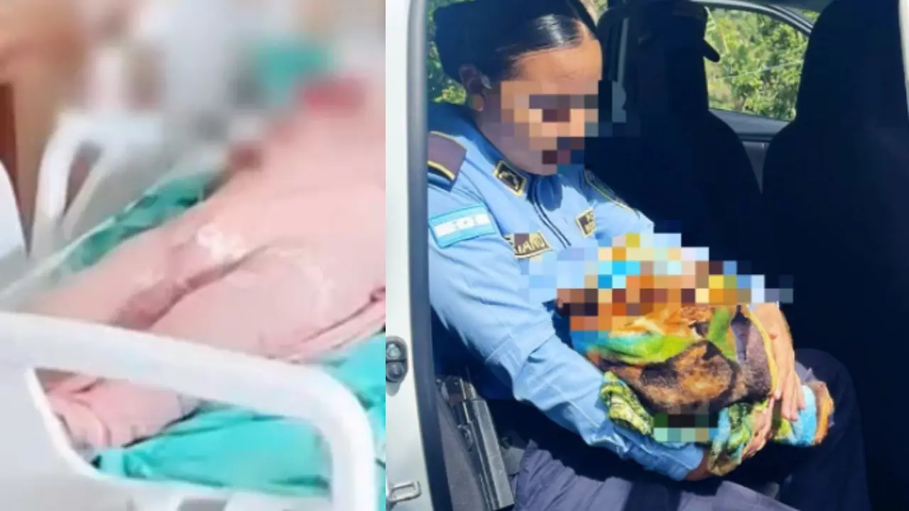 Bajo custodia mujer acusada de abandonar a su bebé entre la maleza en Lempira Imagen de Bajo custodia mujer acusada de abandonar a su bebé entre la maleza en Lempira