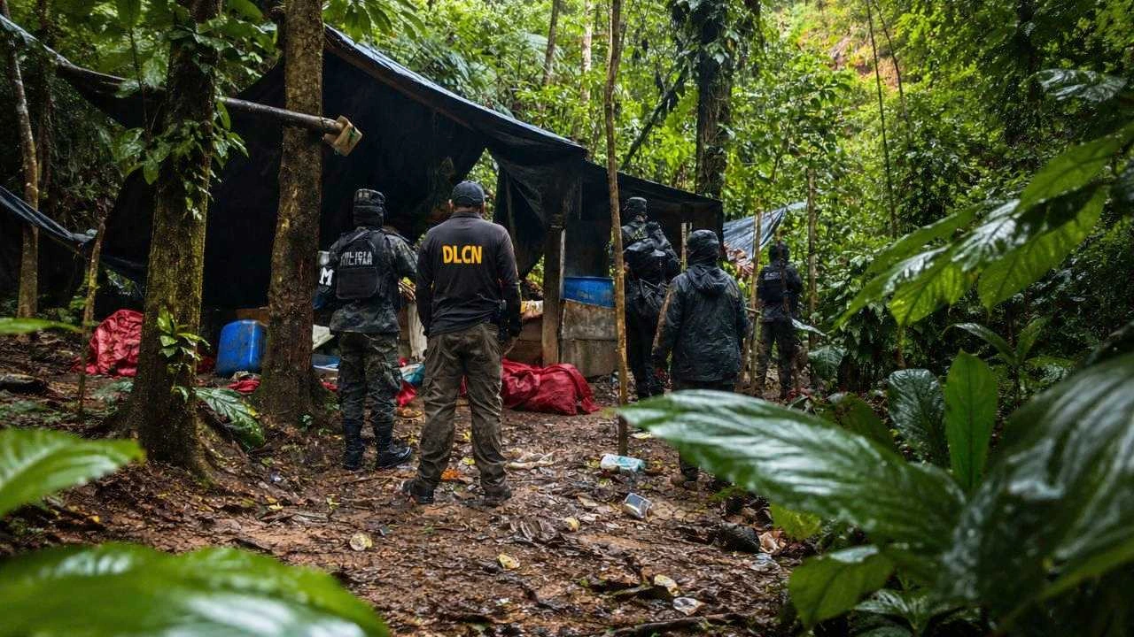 Le arrancan L 324 millones al narco, pero rutas criminales siguen vivas Imagen de Le arrancan L 324 millones al narco, pero rutas criminales siguen vivas
