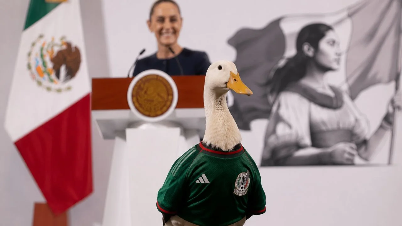 Merlín, el pato que conquistó México y llegó hasta el Palacio Nacional Imagen de Merlín, el pato que conquistó México y llegó hasta el Palacio Nacional