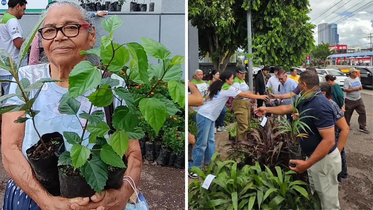 Plantatón HN y miles de familias unen esfuerzos por una Honduras verde Imagen de Plantatón HN y miles de familias unen esfuerzos por una Honduras verde