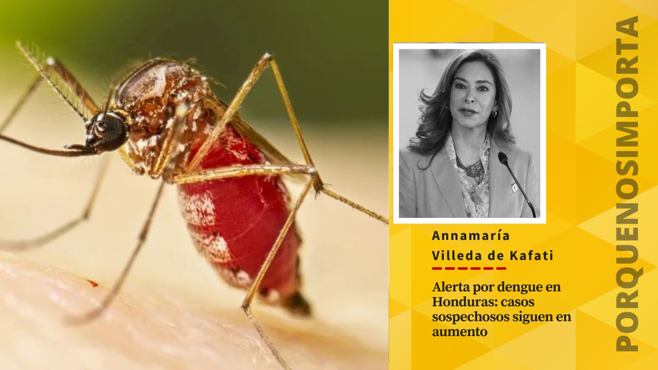 Imagen de Alerta por dengue en Honduras: casos sospechosos siguen en aumento
