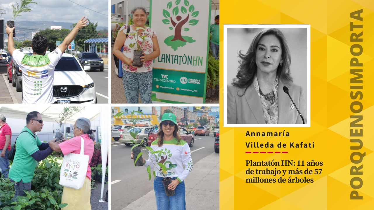 Imagen de Plantatón HN: 11 años de trabajo y más de 57 millones de árboles