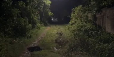 Imagen de Hallan restos carbonizados en El Progreso: investigan si es un feto o un perro