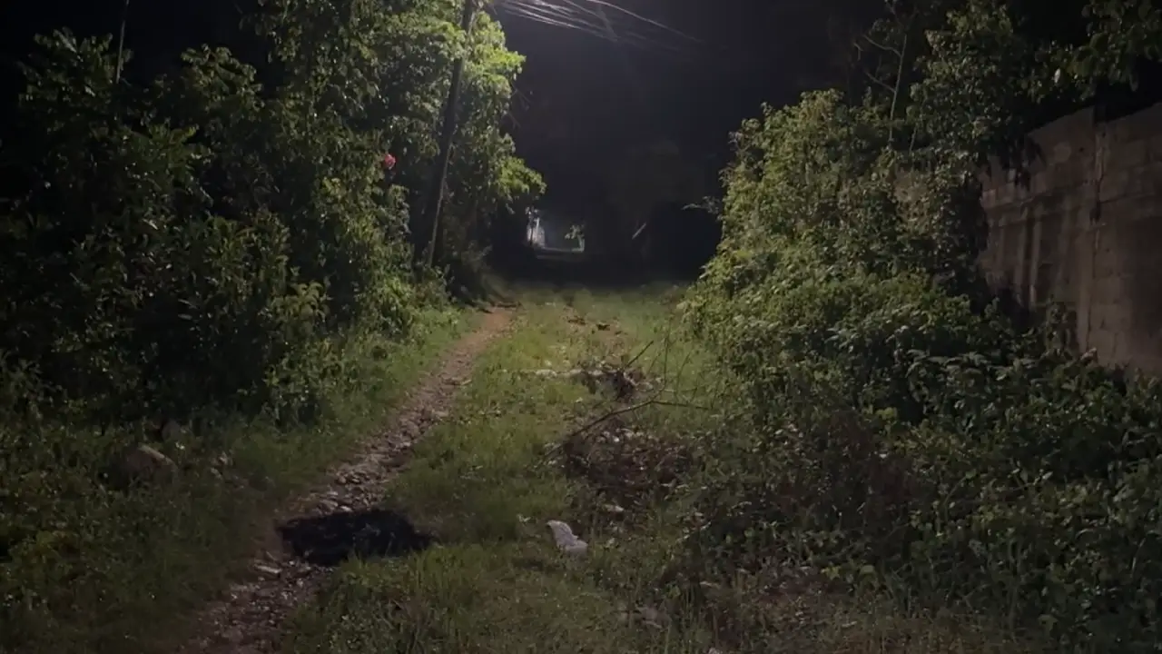 Hallan restos carbonizados en El Progreso: investigan si es un feto o un perro Imagen de Hallan restos carbonizados en El Progreso: investigan si es un feto o un perro