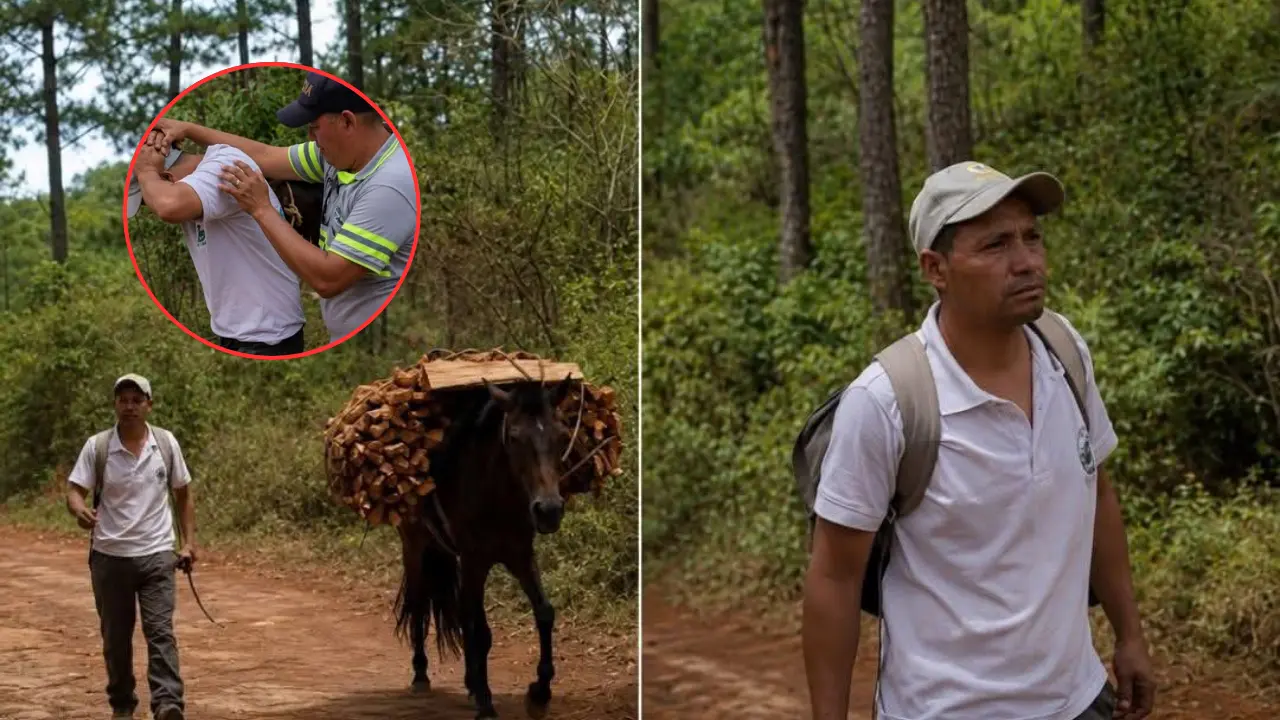 Autoridades retienen leña y caballo a campesino en Santa Rosa de Copán Imagen de Autoridades retienen leña y caballo a campesino en Santa Rosa de Copán