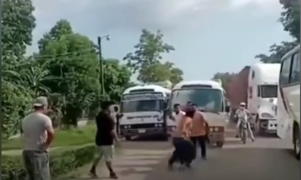 pelea buseros hombres