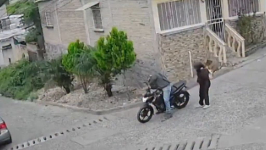 motocicleta personas cascos