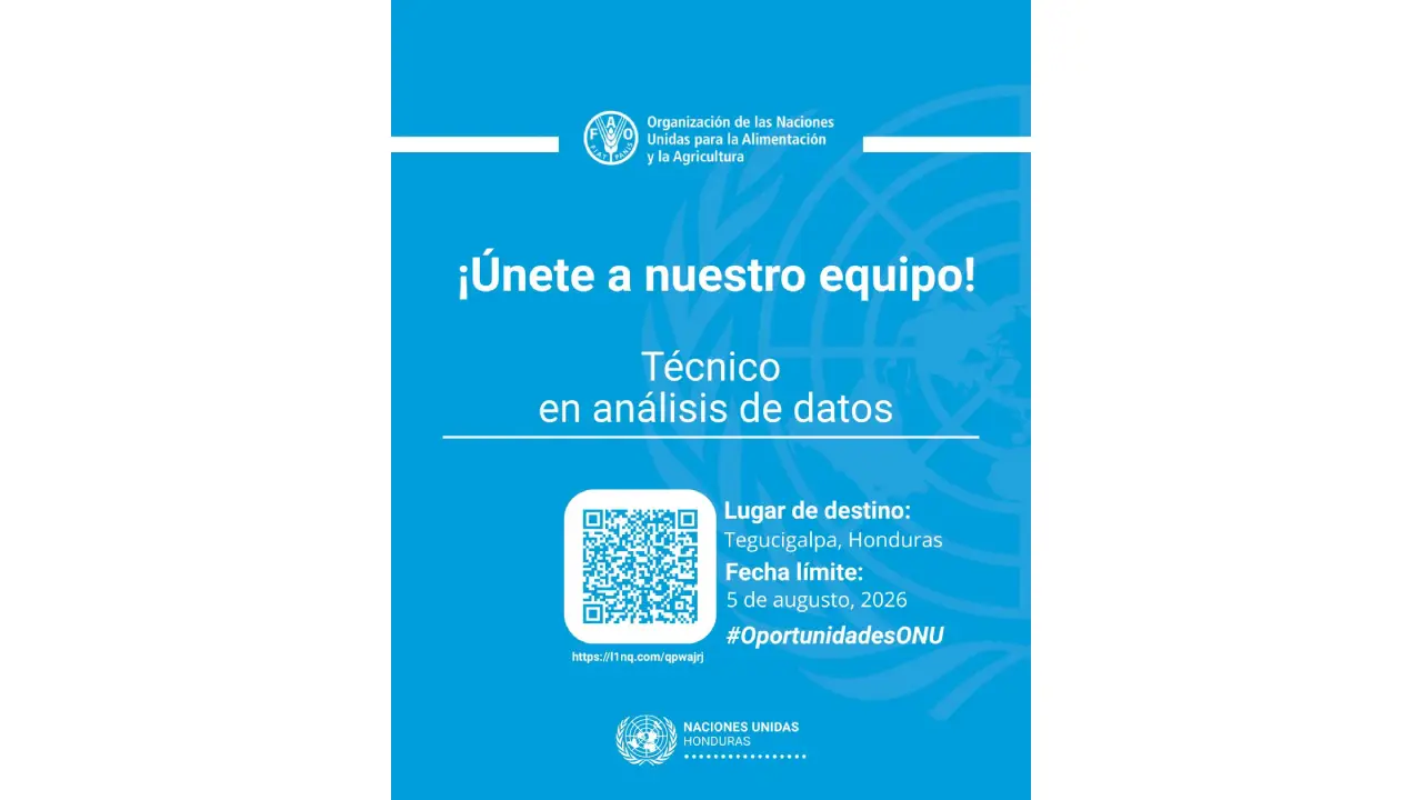 Requisitos para aplicar al puesto Técnico en análisis de datos.