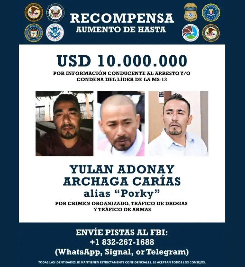 recompensa