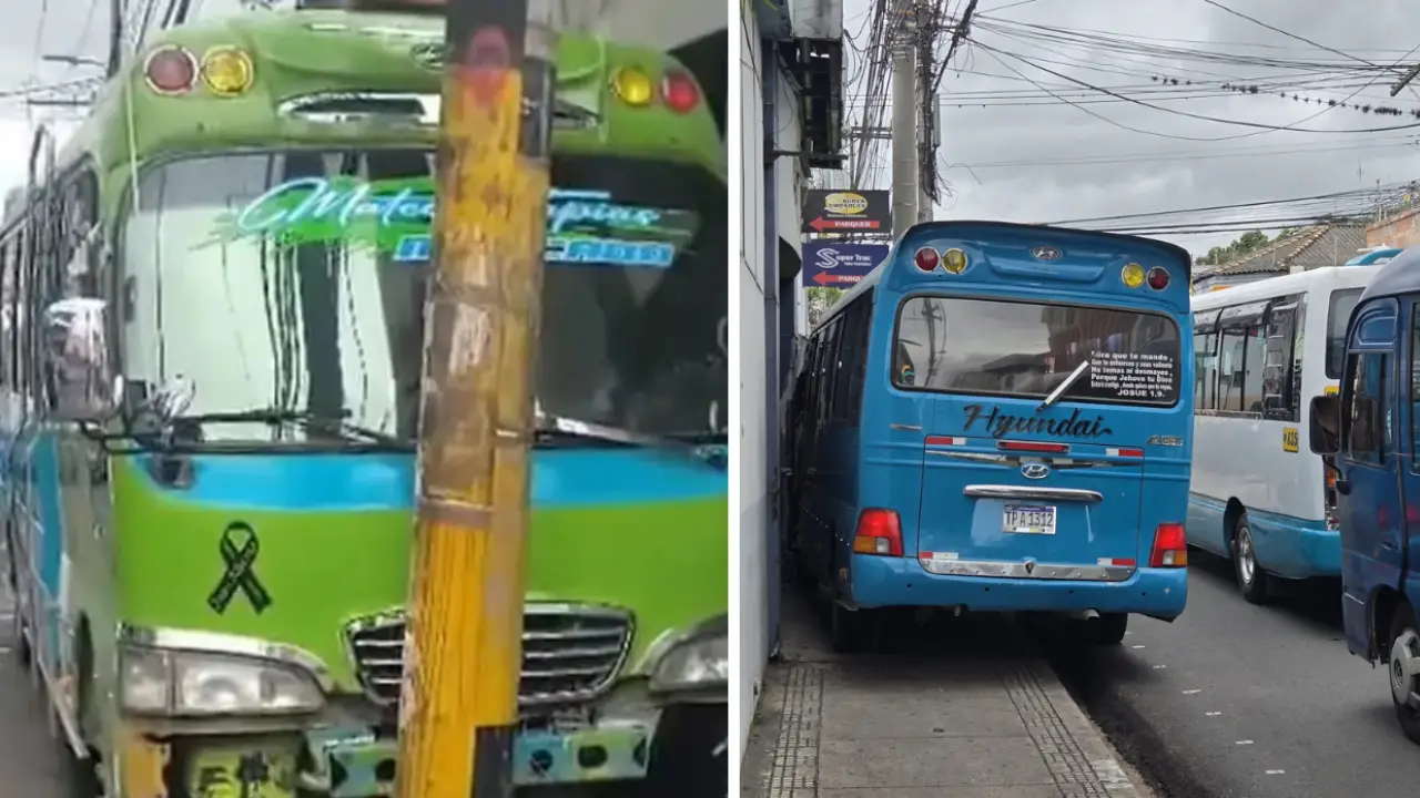 autobús