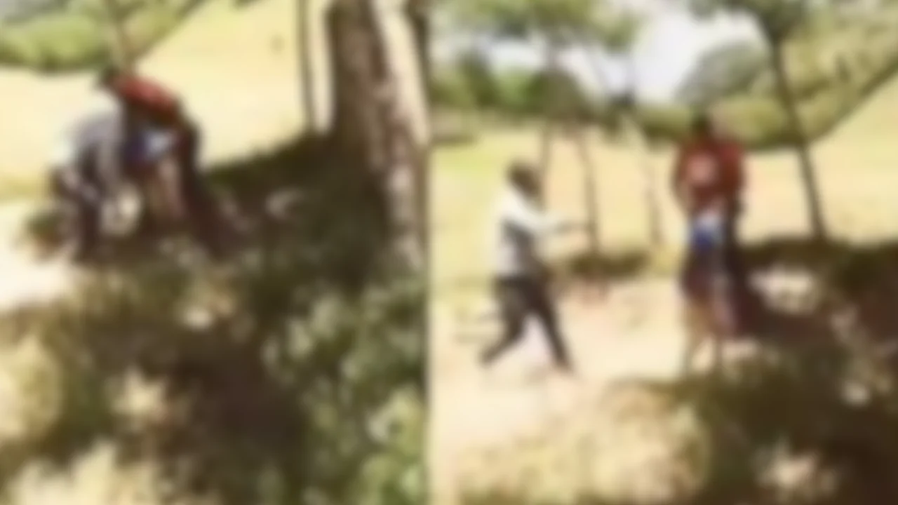 Foto del video de los campesinos de Sabanilla, Chiapas 
