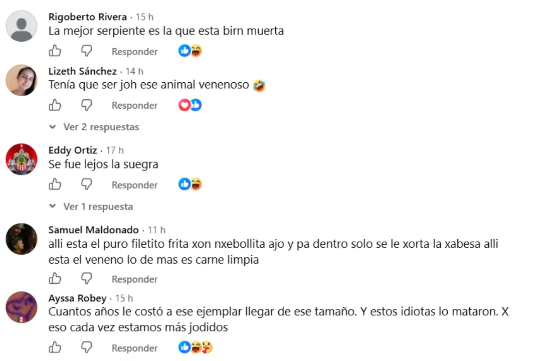 Serpiente barba amarilla