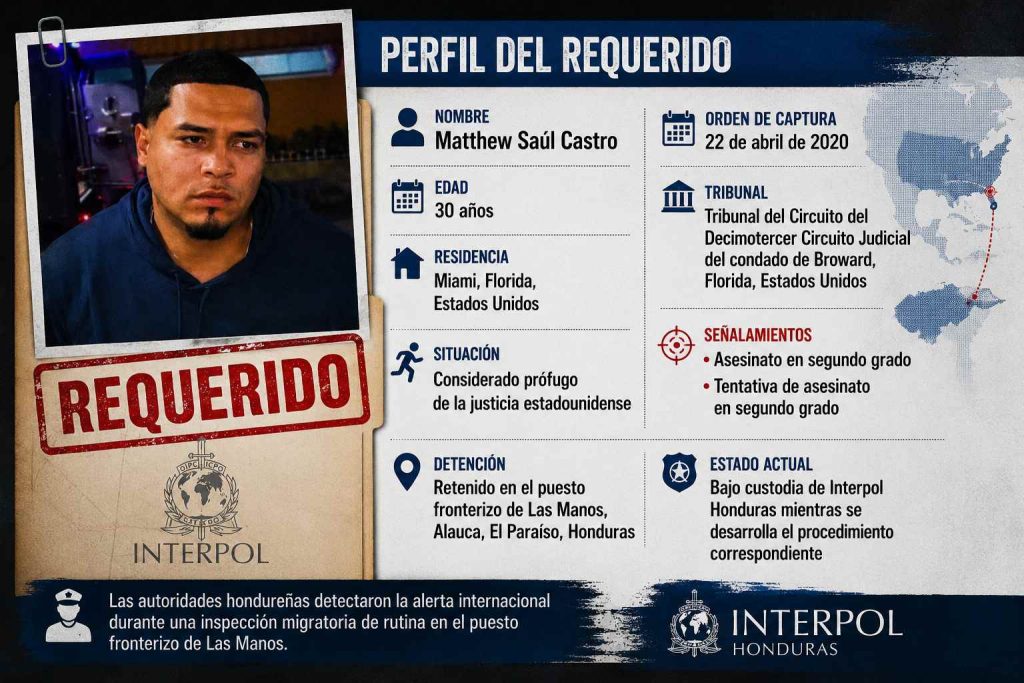 el perfil