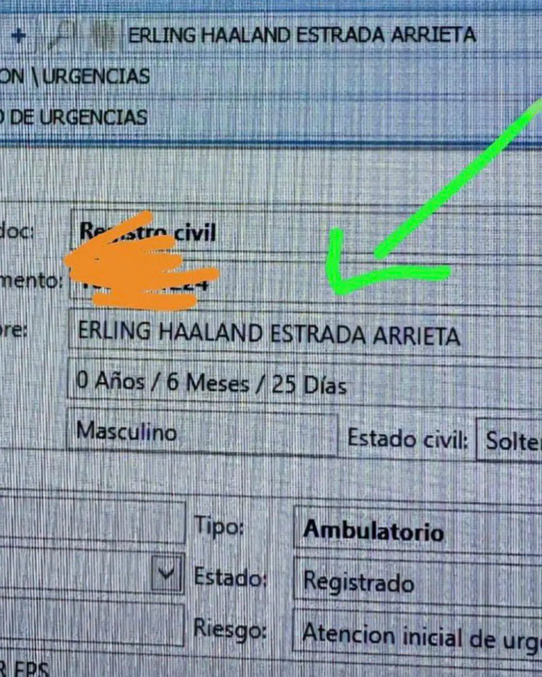 Haaland Colombia