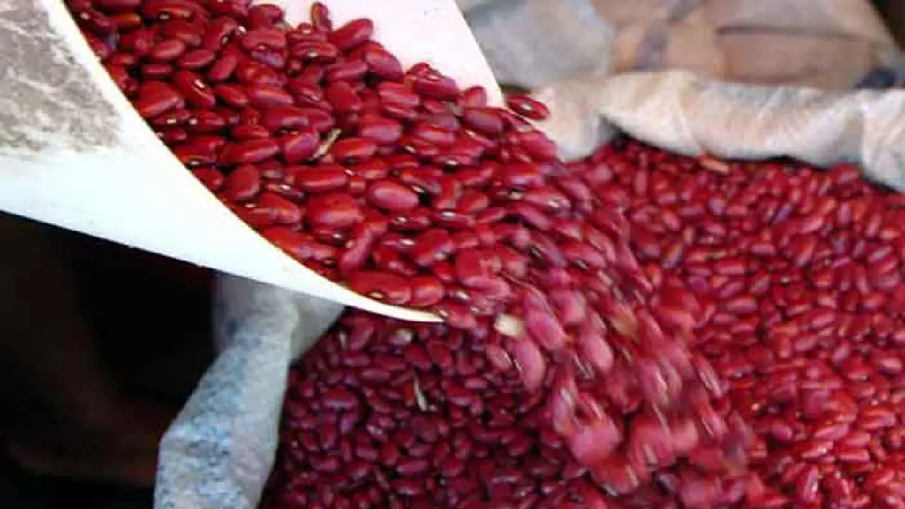 Frijoles rojos