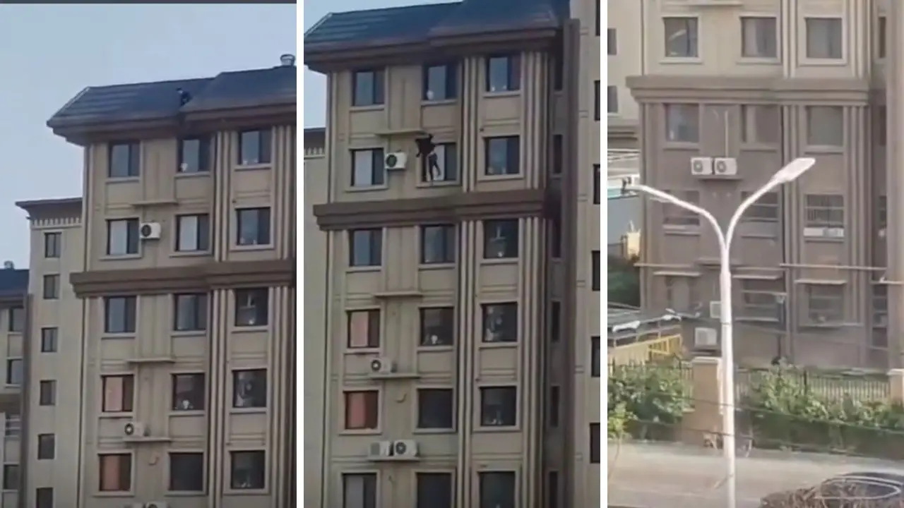 Hombre se lanza de edificio tras perder apuesta