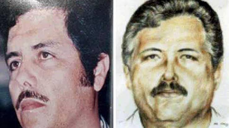 Mayo Zambada joven