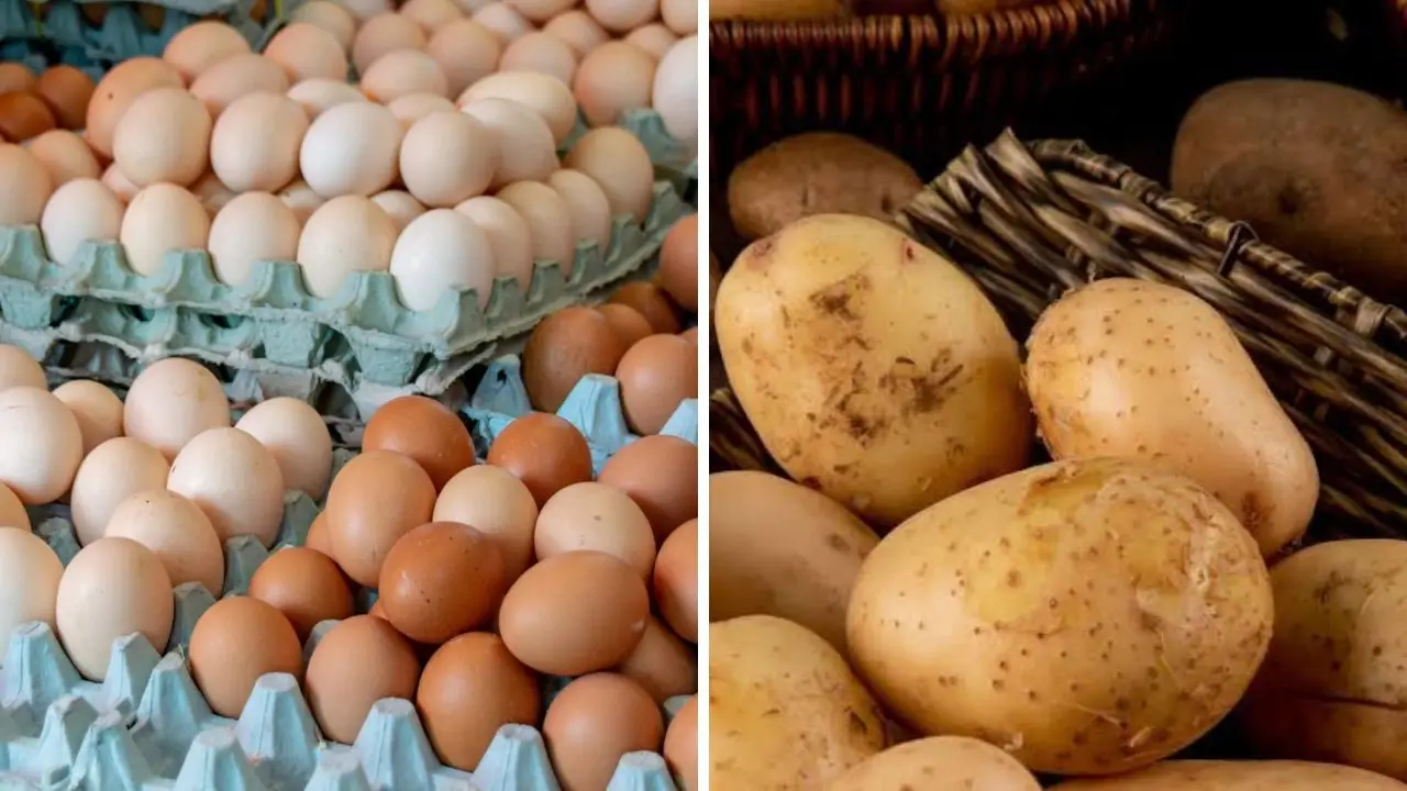 incremento de huevos