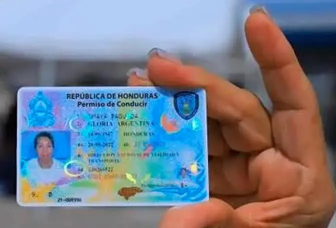 Licencia conducir
