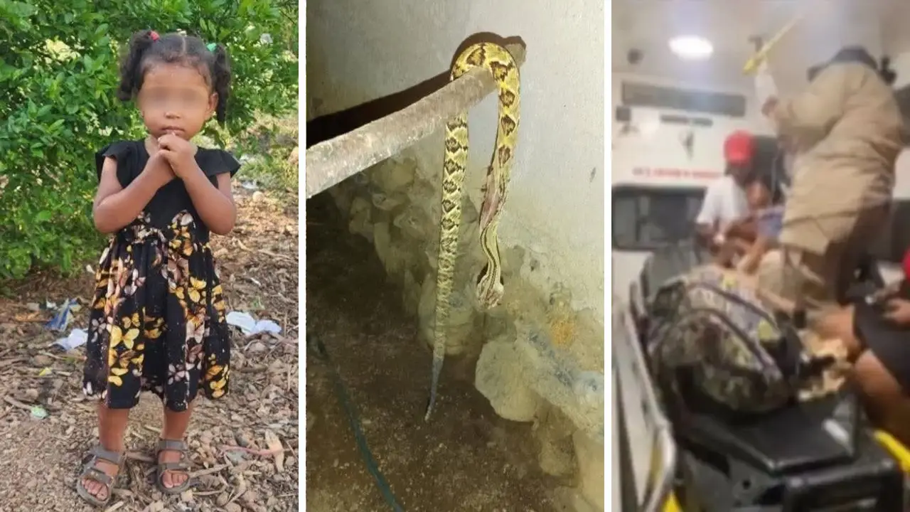 Irma Margarita, mordida por víbora