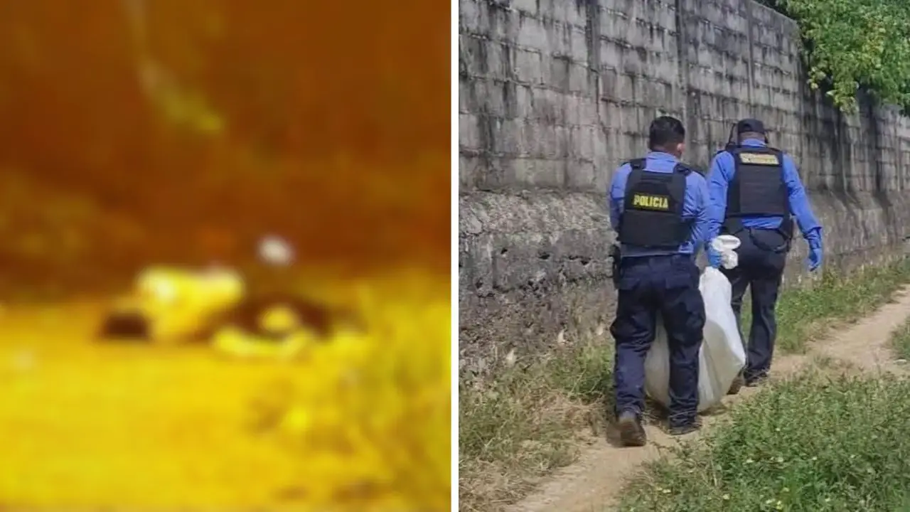 Cuatro primos asesinados en La Ceiba