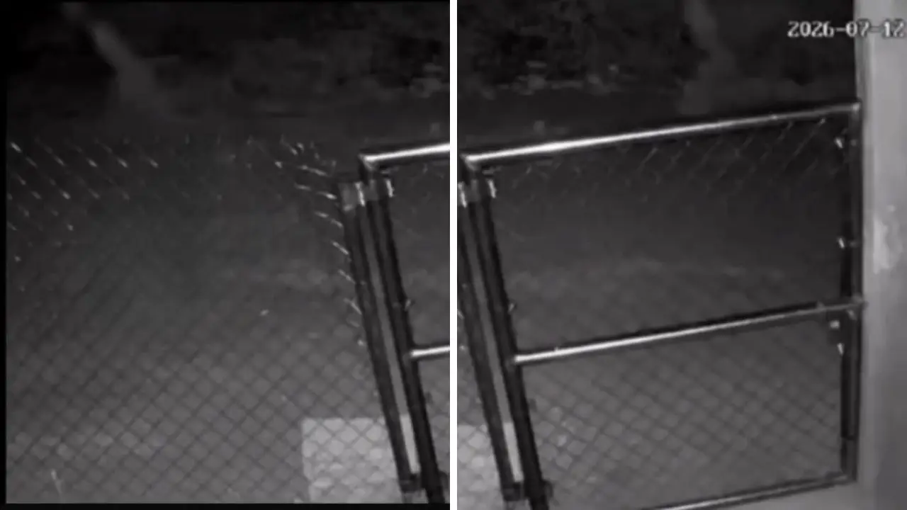 Cámara de seguridad capta aterradora silueta en calles de Colón Imagen de Cámara de seguridad capta aterradora silueta en calles de Colón