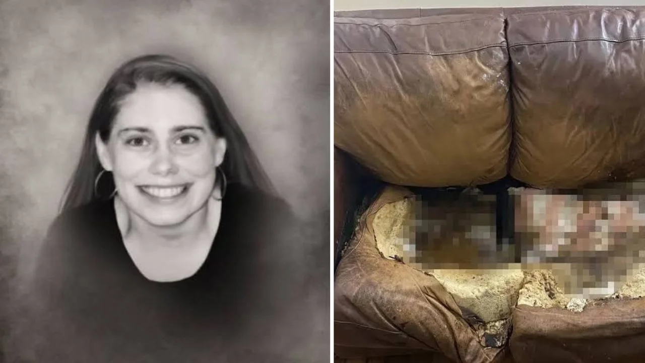 Caso de Lacey Fletcher: fotos filtradas del sillón son difundidas en Twitter y Telegram Imagen de Caso de Lacey Fletcher: fotos filtradas del sillón son difundidas en Twitter y Telegram