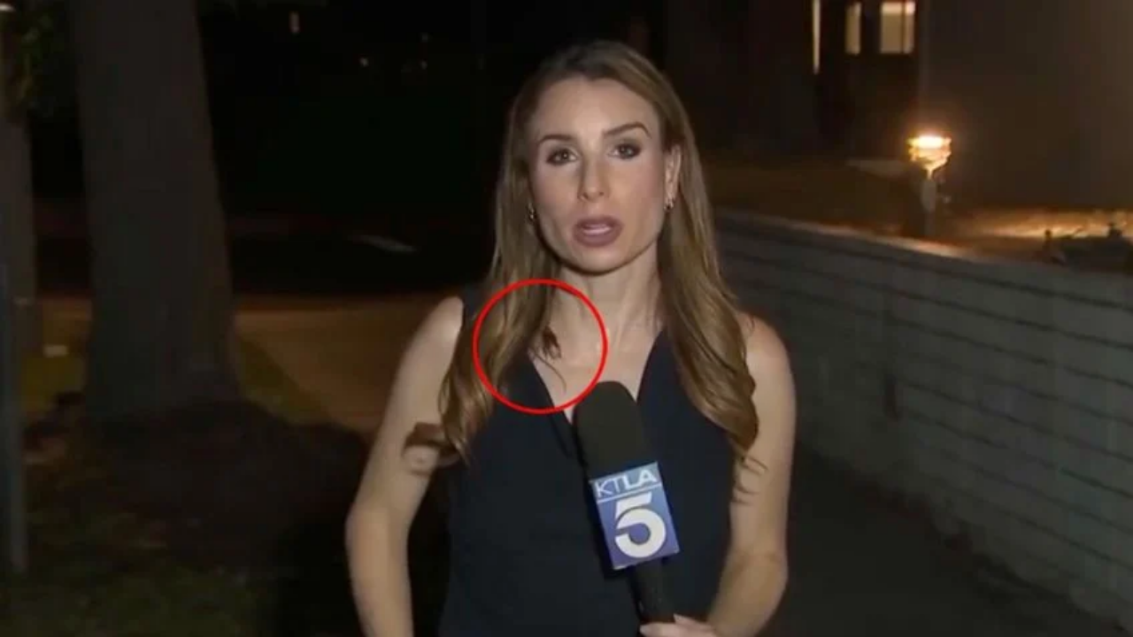 Reportera sigue en vivo mientras una cucaracha le camina encima Imagen de Reportera sigue en vivo mientras una cucaracha le camina encima