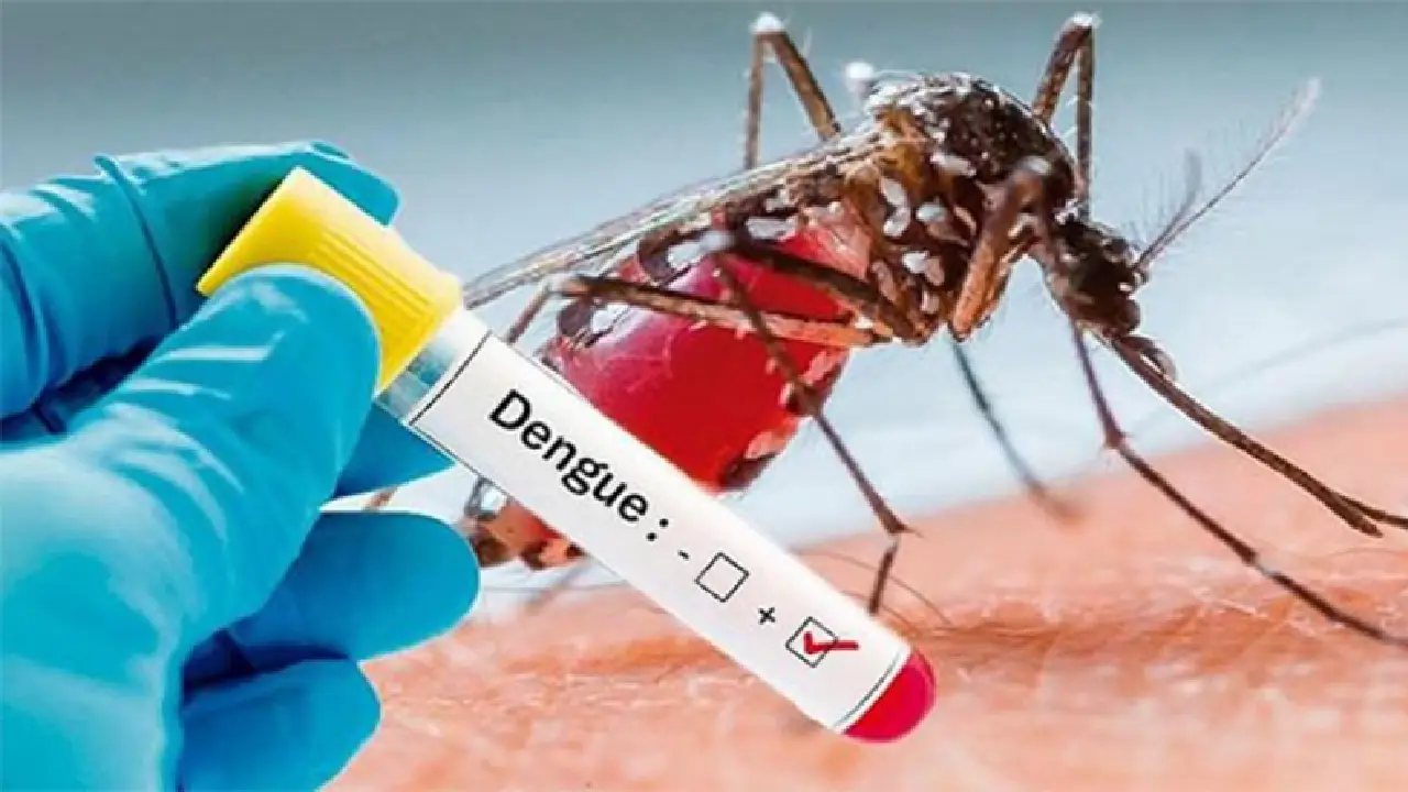Dengue grave deja tres víctimas mortales y más de 5,000 contagios en Honduras Imagen de Dengue grave deja tres víctimas mortales y más de 5,000 contagios en Honduras