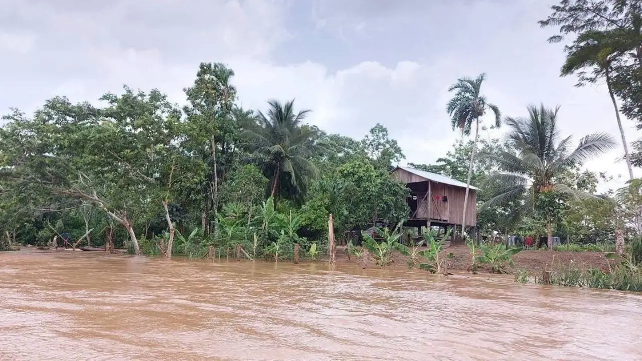 Lluvias afectan a miles: hay cultivos perdidos, comunidades aisladas y vías destruidas Imagen de Lluvias afectan a miles: hay cultivos perdidos, comunidades aisladas y vías destruidas
