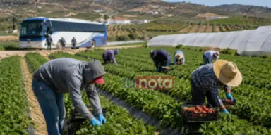 Imagen de España abre 2,000 nuevas plazas de trabajo para hondureños: así puedes aplicar