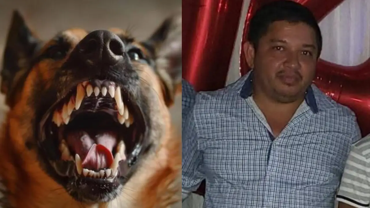 Matan a exregidor tras reclamo por perro que mordió a su hijo; capturan sospechoso Imagen de Matan a exregidor tras reclamo por perro que mordió a su hijo; capturan sospechoso