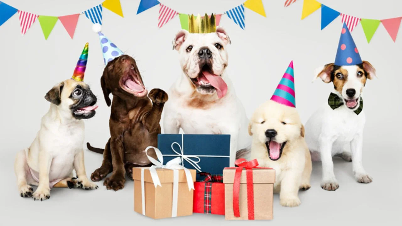 Feliz Día del Perro 2026: frases para dedicar y por qué se celebra Imagen de Feliz Día del Perro 2026: frases para dedicar y por qué se celebra