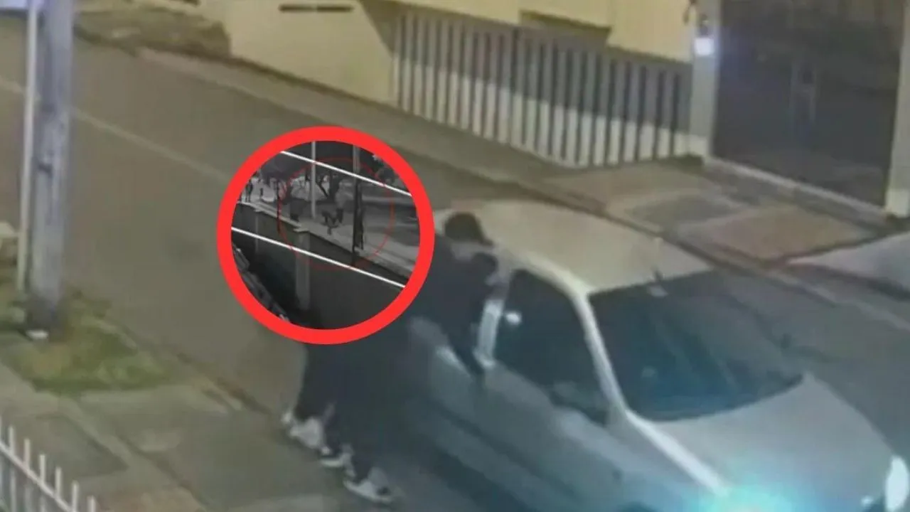 Video: Joven paseaba a su perro y le disparan por resistirse a asalto Imagen de Video: Joven paseaba a su perro y le disparan por resistirse a asalto