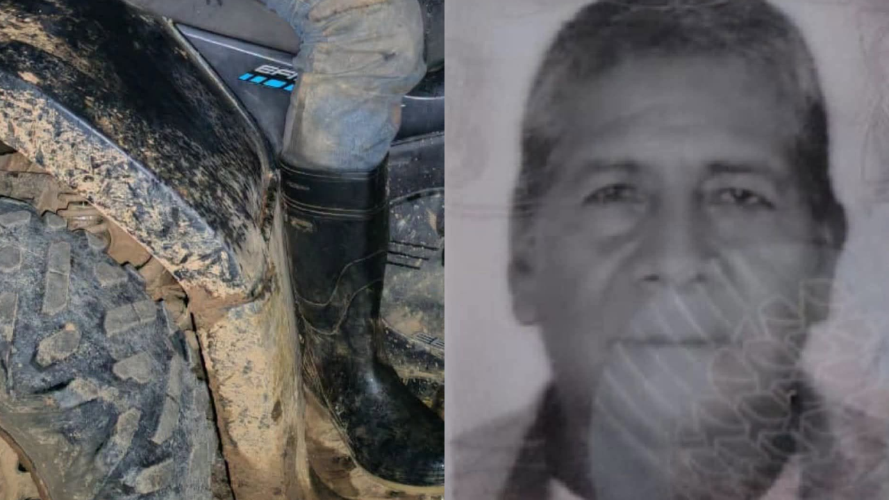 Hombre de 66 años muere tras mordedura de una serpiente en Olancho Imagen de Hombre de 66 años muere tras mordedura de una serpiente en Olancho