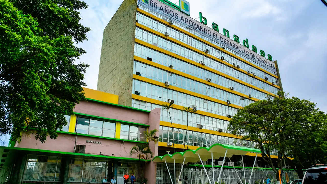 Imagen Principal de Nota: Ordenan investigar concesión de créditos en Banadesa por presuntas irregularidades