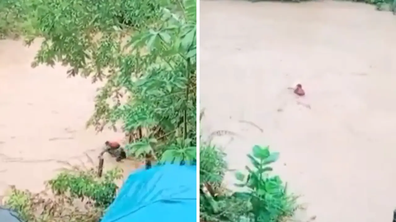 Dos jóvenes desaparecen tras ser arrastrados por el río Patuca en Olancho Imagen de Dos jóvenes desaparecen tras ser arrastrados por el río Patuca en Olancho