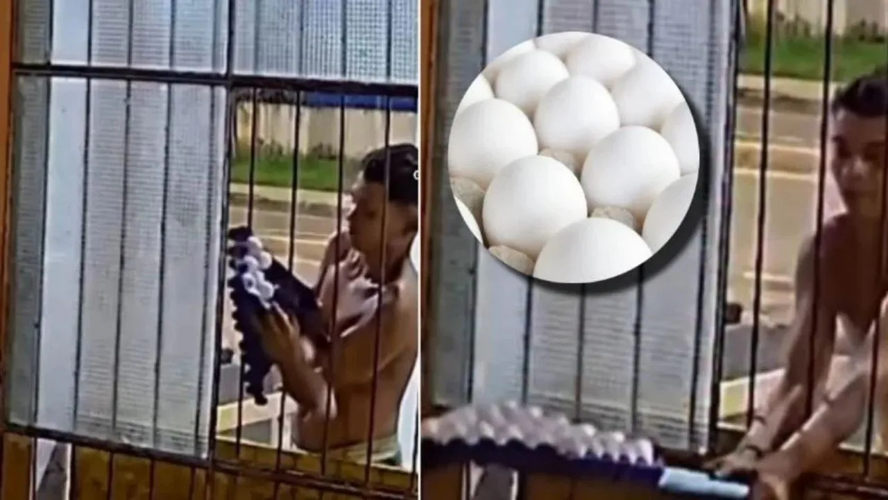 Imagen de VIDEO: Ladrón roba huevos de una tienda; se le quiebran al escapar