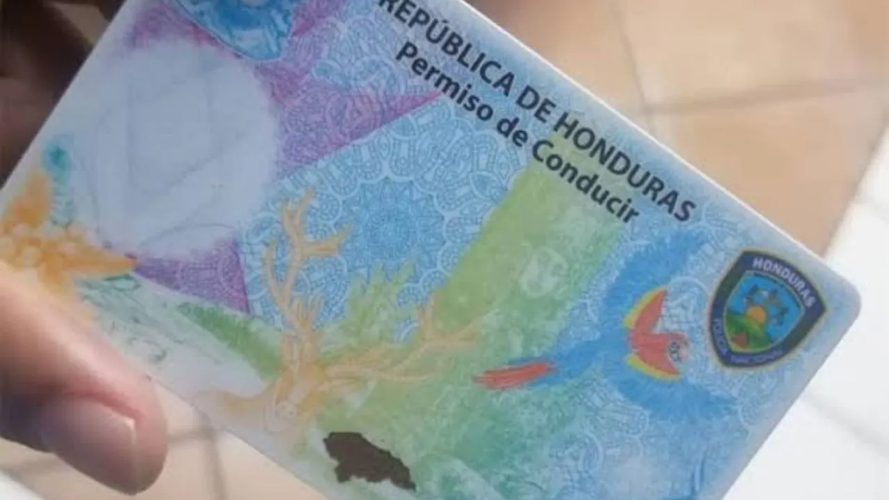 Imagen de Este será el orden de prioridad para imprimir licencias de conducir en Honduras