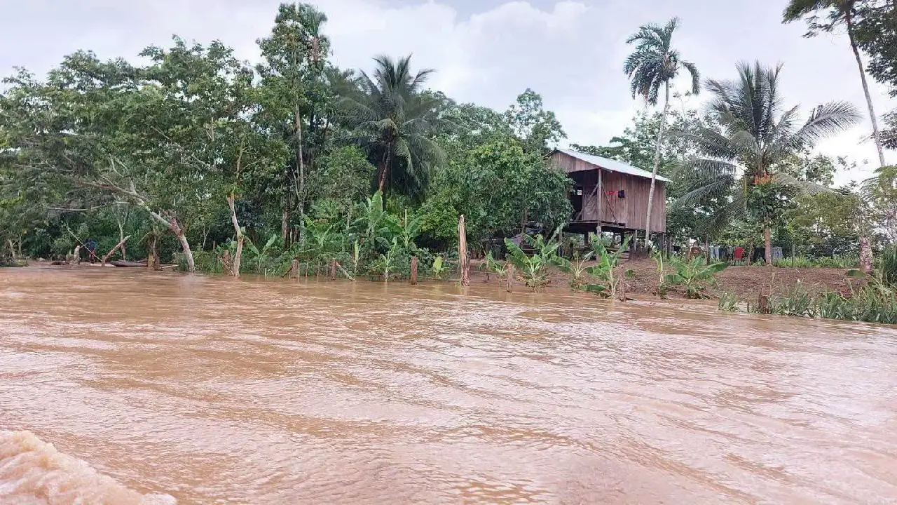Lluvias arrasan cultivos y obligan a evacuar familias en Gracias a Dios Imagen de Lluvias arrasan cultivos y obligan a evacuar familias en Gracias a Dios