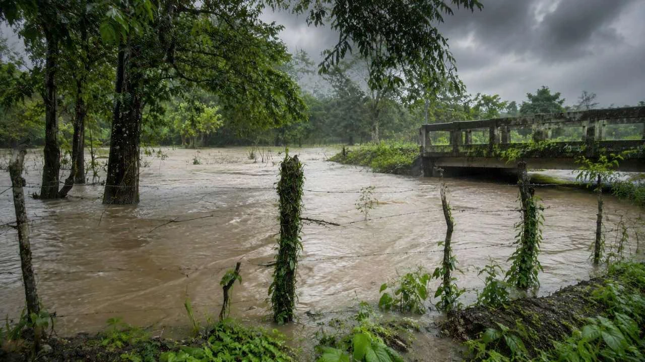Las lluvias frenan a Catacamas: ríos aíslan comunidades y negocios Imagen de Las lluvias frenan a Catacamas: ríos aíslan comunidades y negocios
