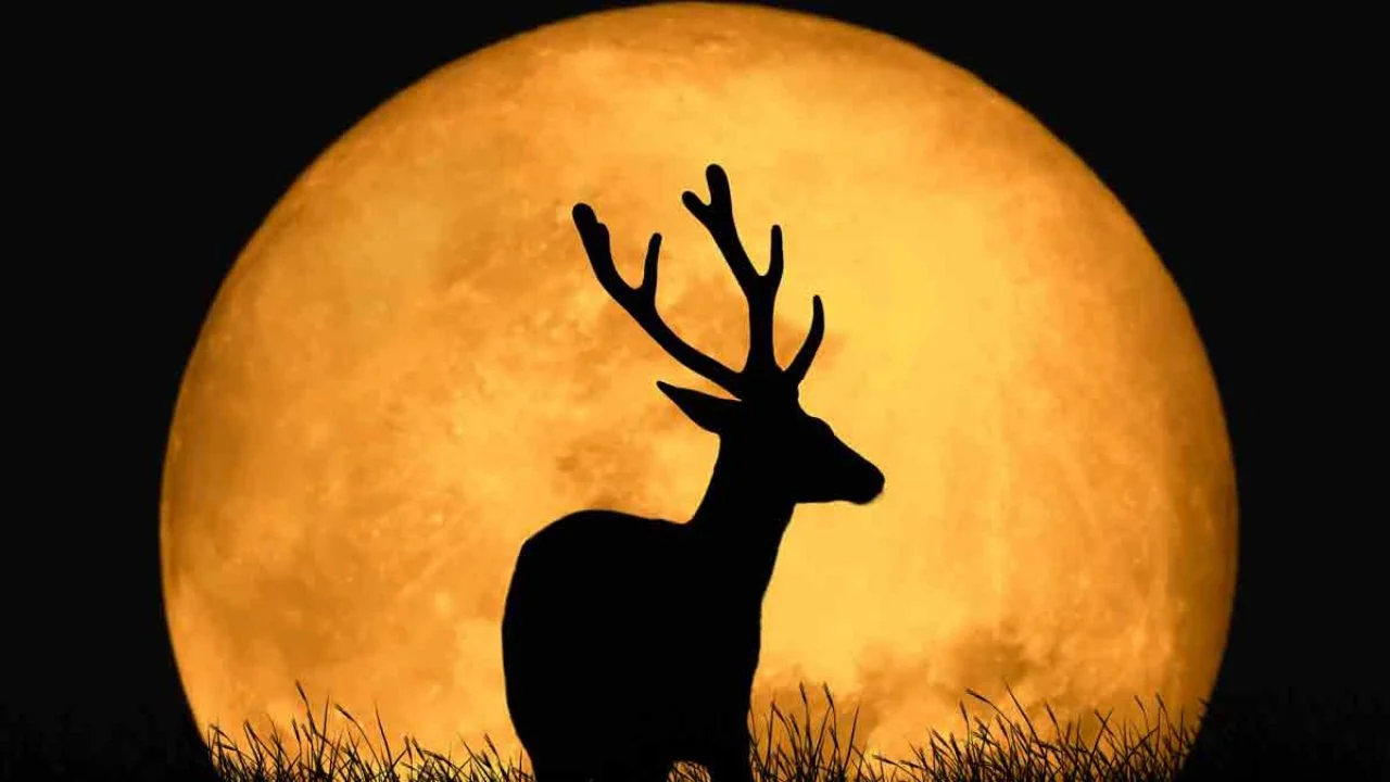 Luna del Ciervo en Honduras: ¿cuándo será, hora y por qué recibe ese nombre? Imagen de Luna del Ciervo en Honduras: ¿cuándo será, hora y por qué recibe ese nombre?