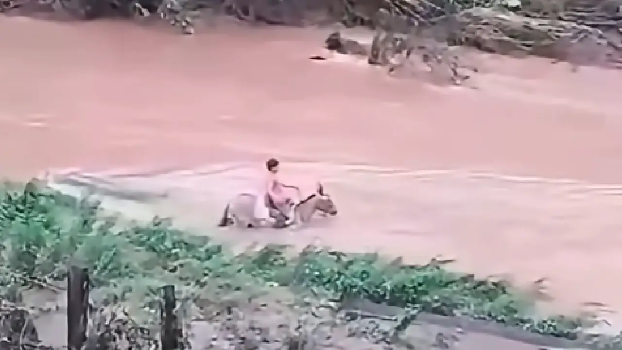 'Hijo, regrésate': adolescente murió ahogado tras intentar cruzar el río Patuca Imagen de 'Hijo, regrésate': adolescente murió ahogado tras intentar cruzar el río Patuca