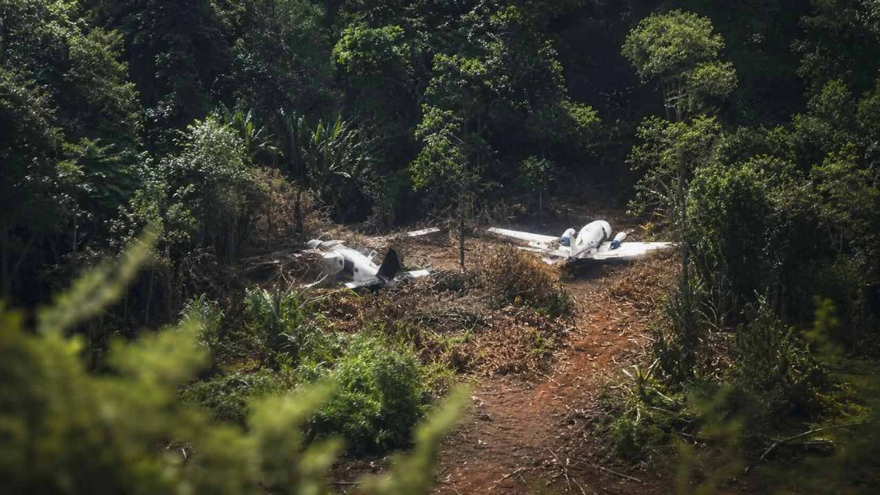 Imagen de El silencio en las pistas clandestinas: ¿qué pasó con las narcoavionetas?