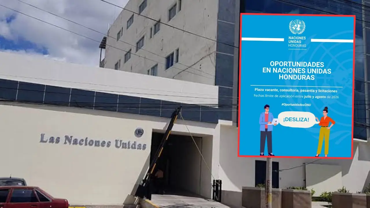 ONU abre vacantes para hondureños en julio de 2026: así puede aplicar Imagen de ONU abre vacantes para hondureños en julio de 2026: así puede aplicar