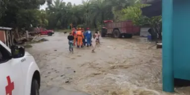 Imagen de nota: ¿Qué pasó en Casanare? Campesinos pierden ganado y cultivo tras fuertes inundaciones